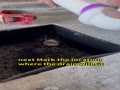 Hasen’s Guide: Tips for Installing a Shower Drain Hasen’s Guide: Tips for Installing a Shower Drain