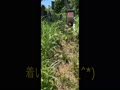 王院山動画.mp4 王院山動画.mp4
