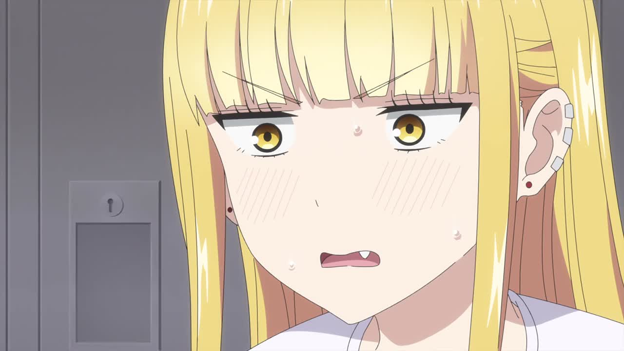 


画像なし